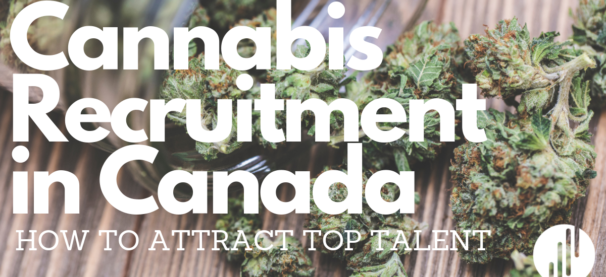 Cannabis Recruitment Canada: How to Attract Top Talent