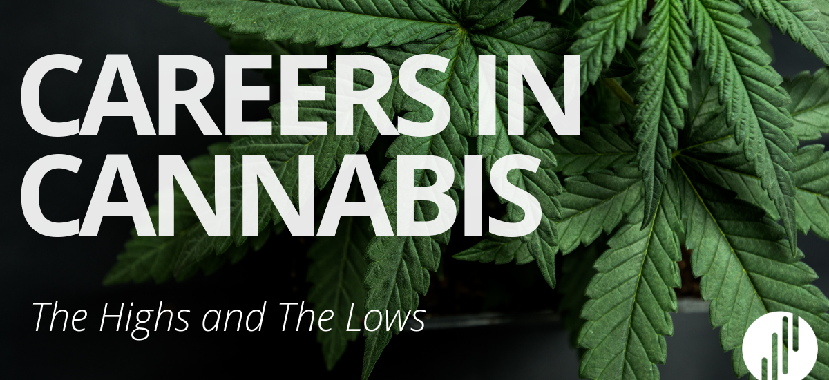 Careers in Cannabis: The Highs and The Lows